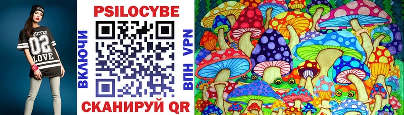 Псилоцибиновые грибы Cubensis  Сосновый Бор 